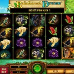 rainforest dream wms slot review