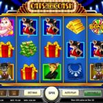 cats and cash slot review