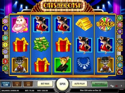 cats and cash slot review