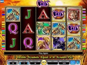 cats igt slot review