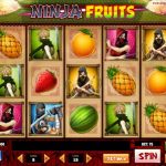 ninja fruits slot machine