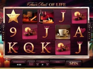 the finer reels of life slot from microgaming