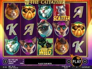 the cathfather slot review