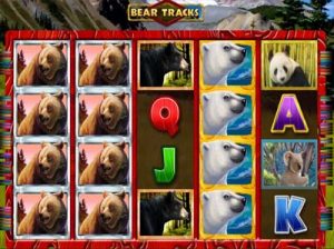 bear tracks online slot from novomatic