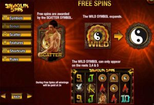 shaolin spin free spins bonus feature