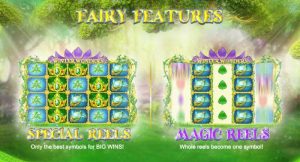fairy features 2