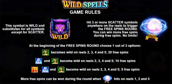 wild spells game rules