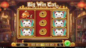 big win cat slot review