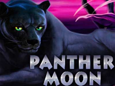 panther moon